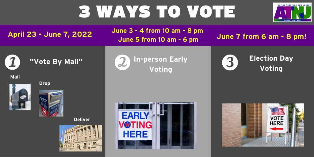 3 Ways to Vote
